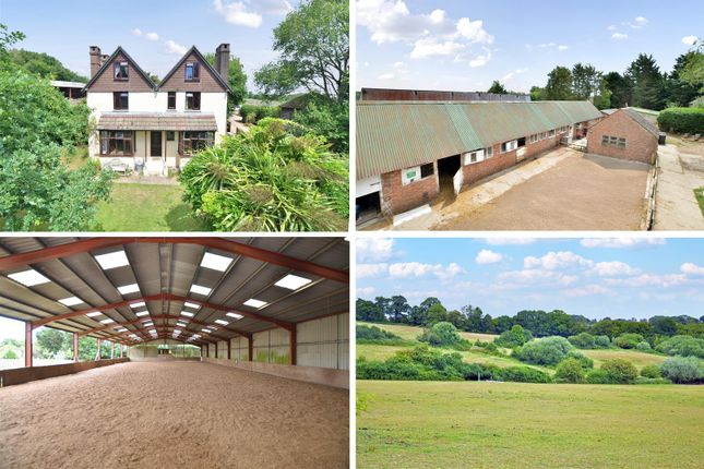Ellenwhorne Lane, Robertsbridge TN32 5 bed equestrian property for sale