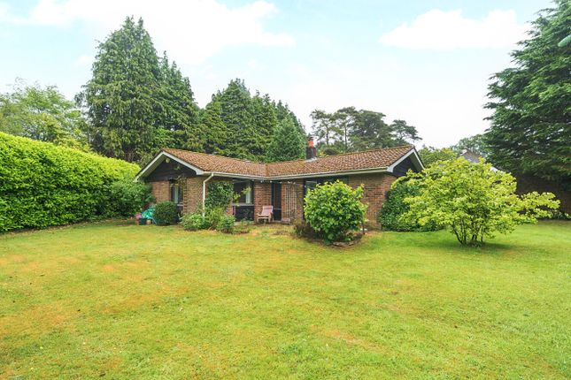 Tilford Road, Surrey GU26 2 bed bungalow for sale