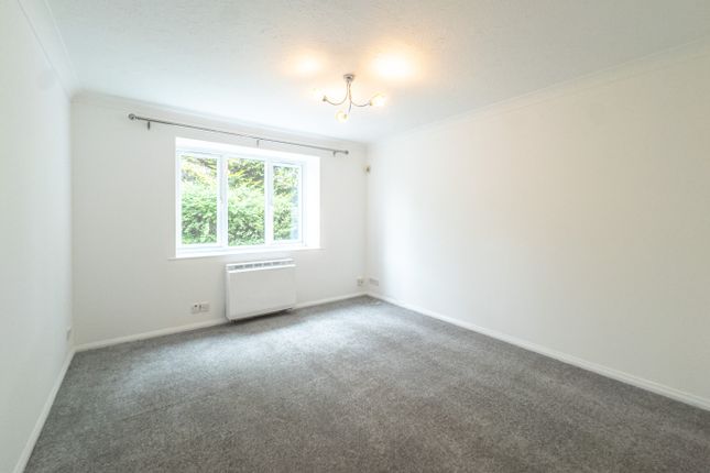1 bed flat