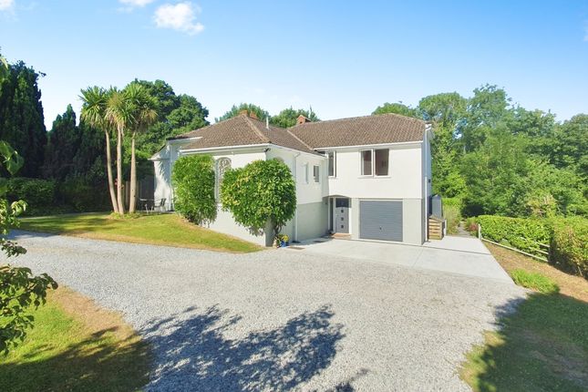 Nadderwater, Exeter EX4 4 bed detached house for sale