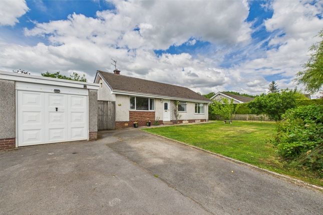 3 bed detached bungalow