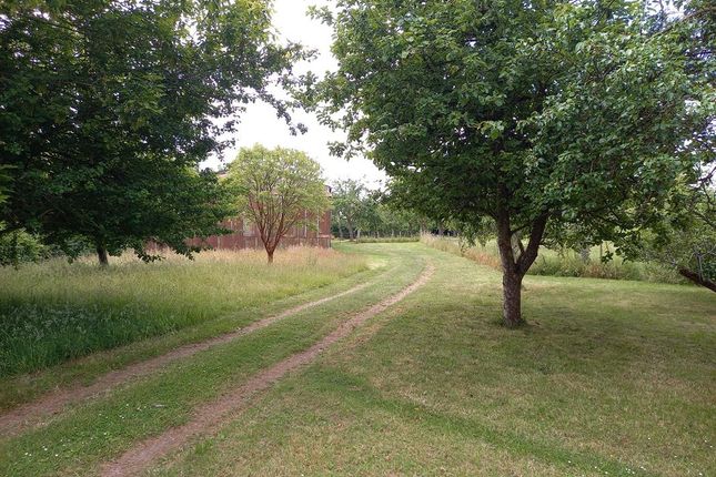 Land Opposite Hardwick Oaks, Kempley... Land for sale