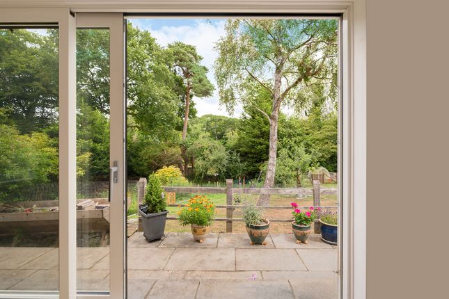 Ifoldhurst, Billingshurst, RH14 4 bed detached bungalow for sale