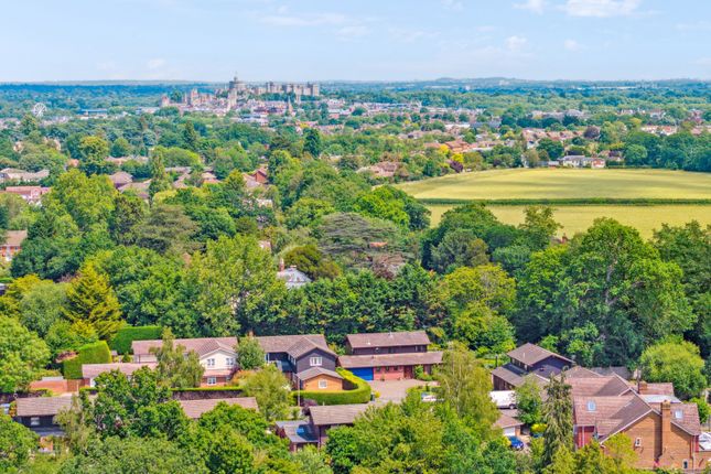 Chestnut Drive, Windsor 5 bed detached house for sale
