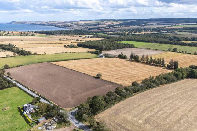 Balblair, Ross