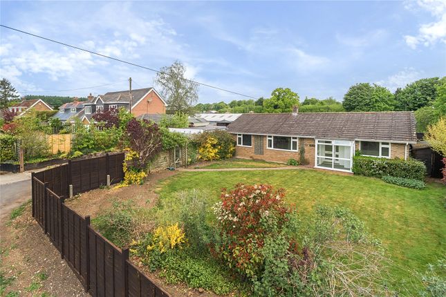 Brightstone Lane, Lower Farringdon... 3 bed bungalow for sale