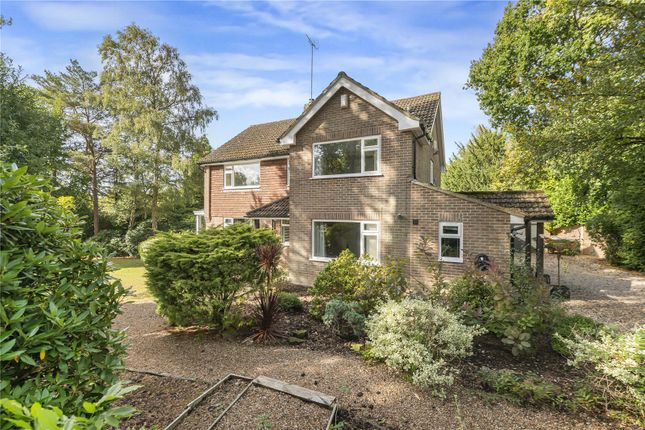 Great Rough, Newick, Lewes, BN8 4 bed detached house for sale