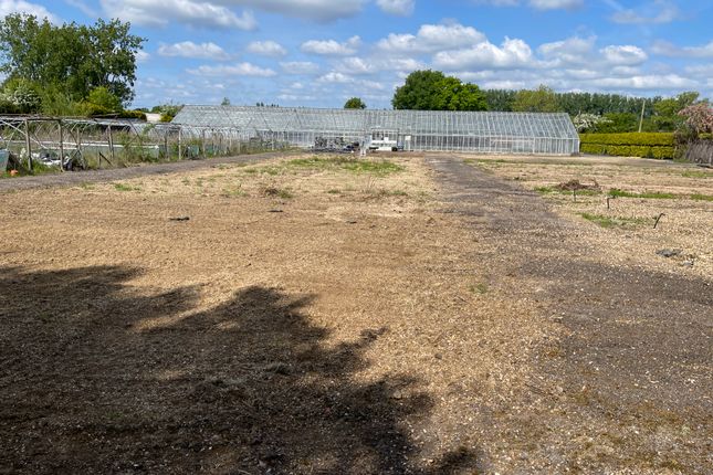 Land for sale