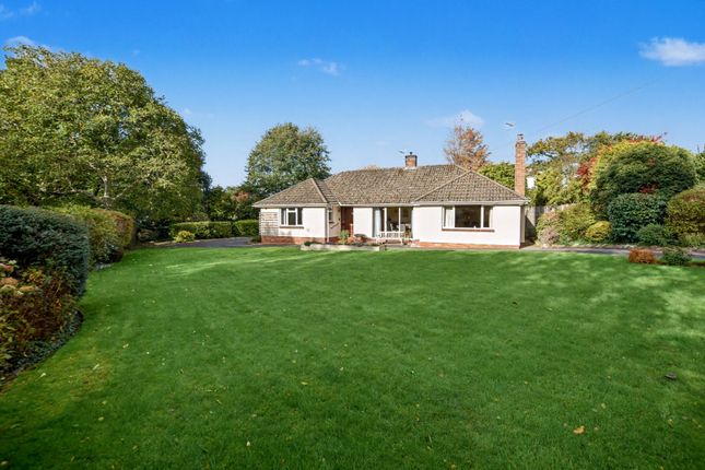 Church Lane, Bicknoller, Taunton... 4 bed bungalow for sale