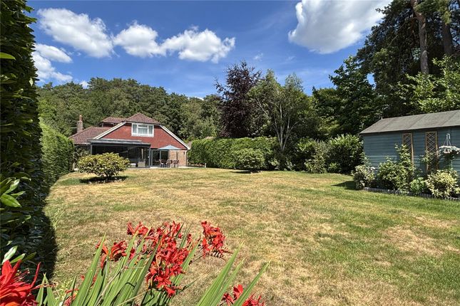Grayshott Road, Hampshire GU35 4 bed bungalow for sale