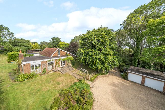 Horsham Road, Grafham, GU5 5 bed detached house for sale
