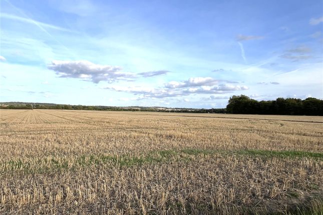 Land At Bearmans Farm, Writtle Road... Land for sale
