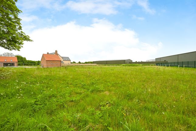 Land for sale