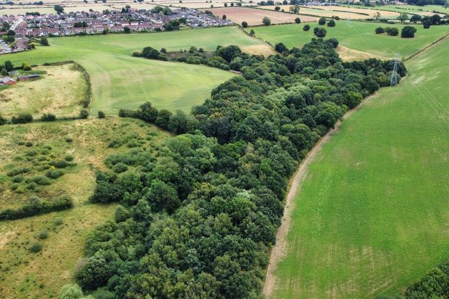 11.84 Acres of Agricultural Land with... Land for sale