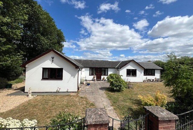 3 bed bungalow