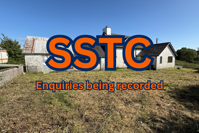 Llanrhystud SY23 5 bed equestrian property for sale