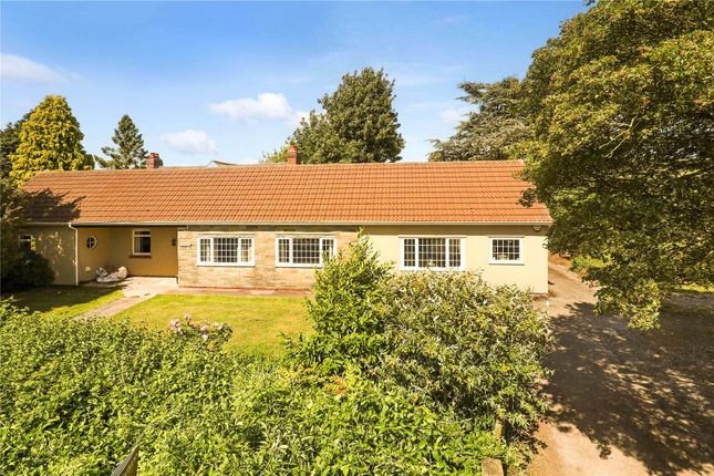 Wrington Hill, Bristol BS40 4 bed detached house for sale