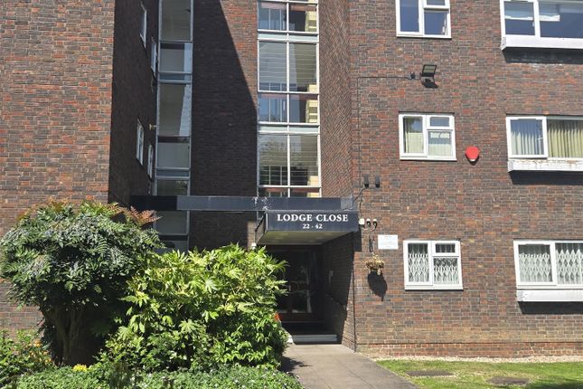 3 bed flat