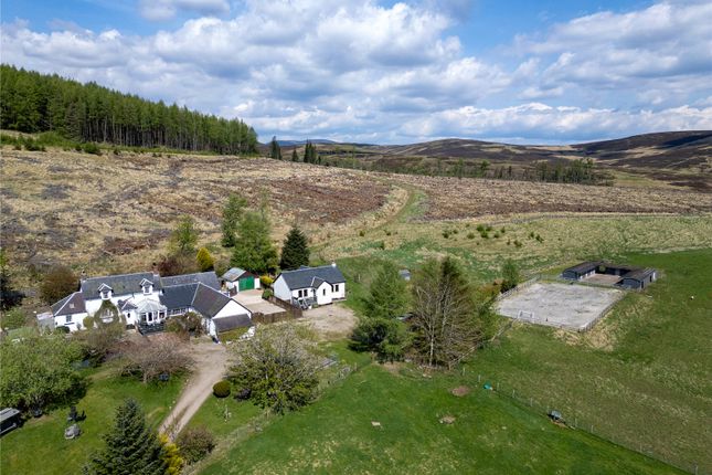 Equestrian facility for sale