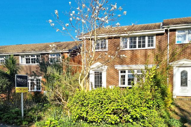 3 bed terraced house