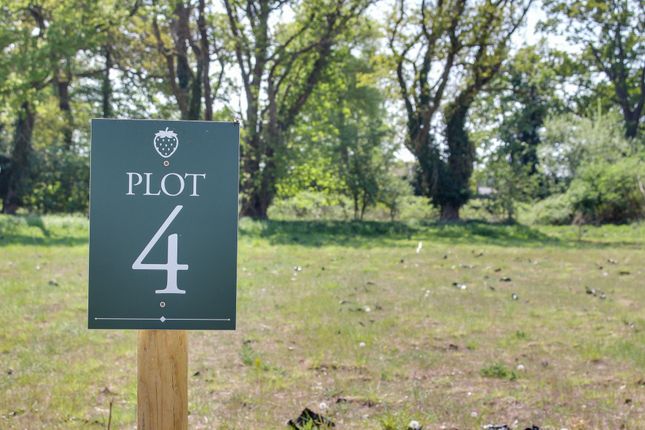 Narford Road, Narborough, PE32 Land for sale