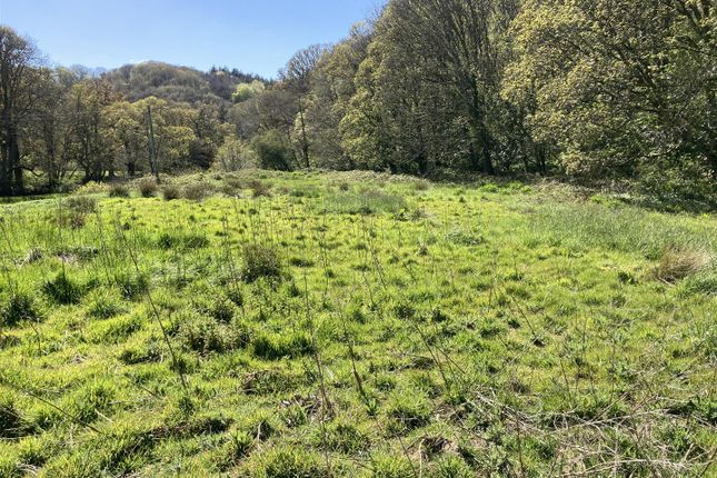 River Torridge, Torrington Land for sale