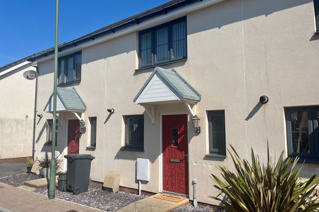 Mimosa Way, Paignton 2 bed terraced house for sale