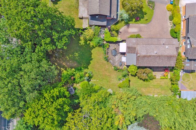 Chestnut Drive, Windsor 5 bed detached house for sale