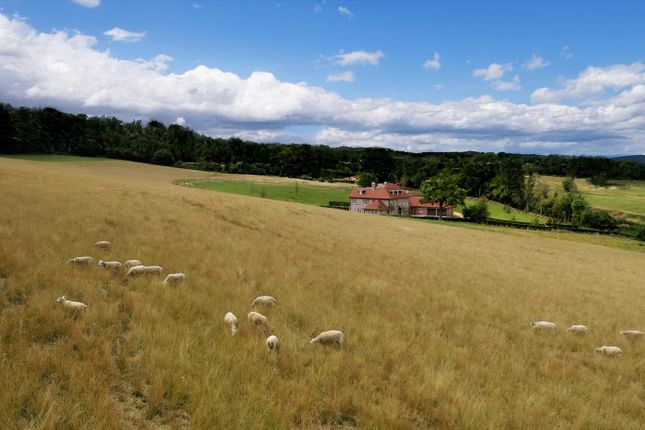 Swaines Hill, Near Odiham, Hampshire... 6 bed detached house for sale