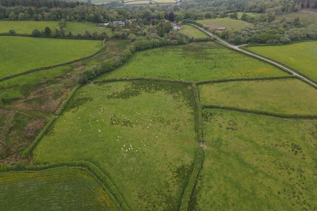 Golden Grove, Carmarthen, SA32 Smallholding for sale