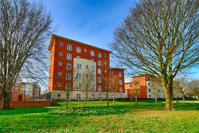 1 bed flat
