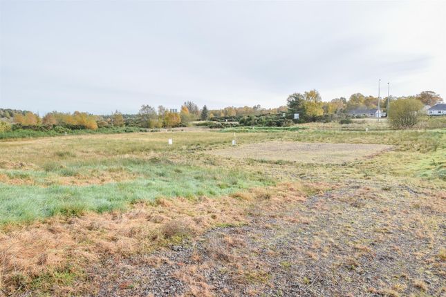 Plots at Kildary, Kildary, Invergordon Land for sale