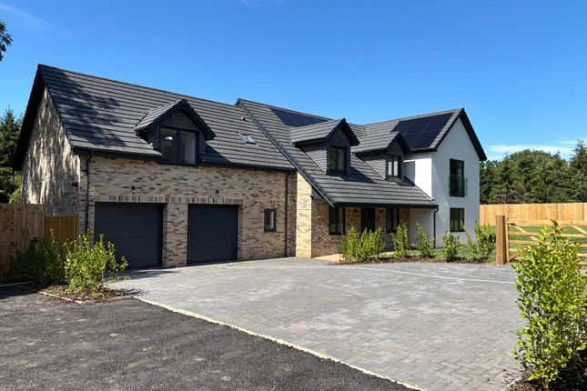 Brockley Nurseries, Brockley, North... 5 bed detached house for sale