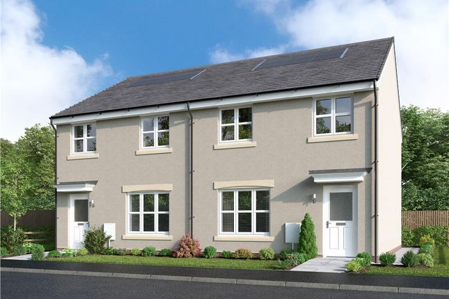 Plot 88, Fulton Semi at Strathmartine... 3 bed semi