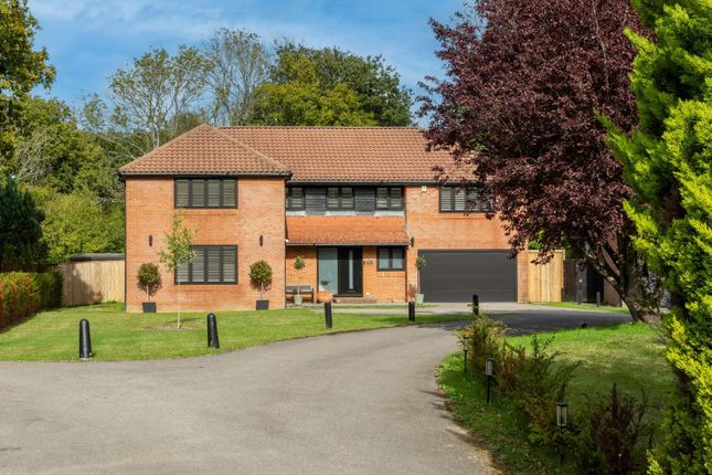 Silver Birches, Small Dole, Henfield 5 bed house for sale