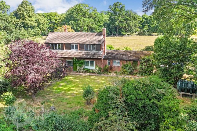 Walnut Hill, Surlingham, Norwich 4 bed detached house for sale