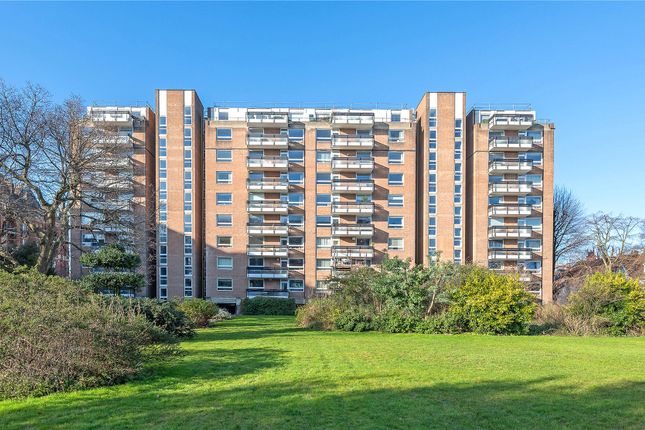 1 bed flat