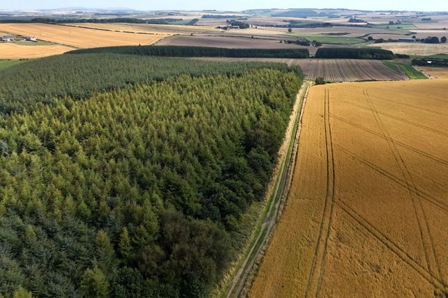 Auchnagatt AB41 Woodland for sale