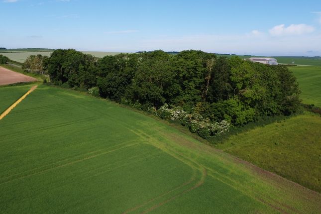 14.71 acres of Arable Land and... Land for sale
