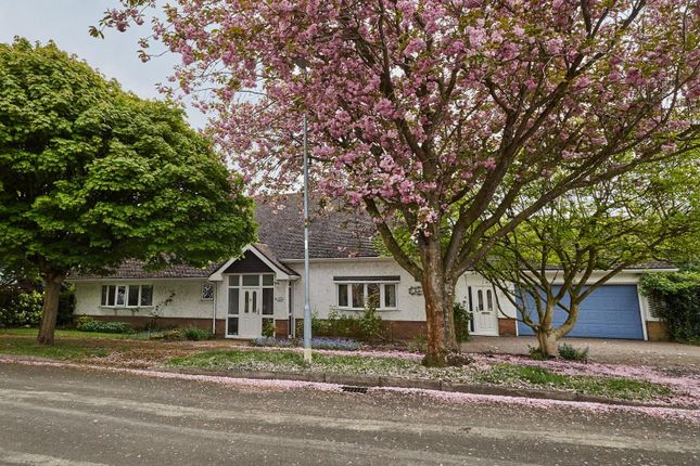 Elm Tree Drive, Burbage 3 bed detached bungalow for sale