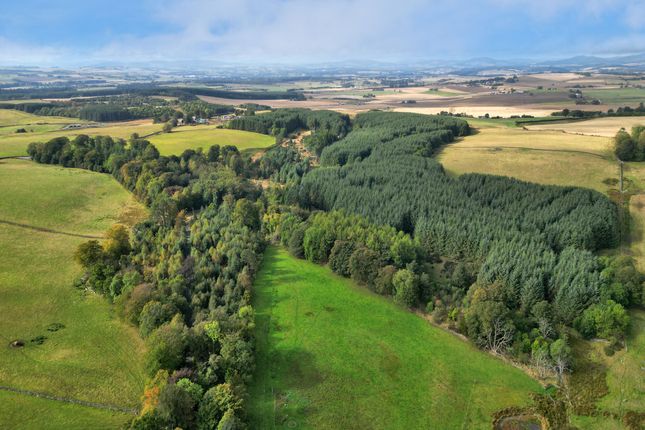 Newmachar, Aberdeen AB21 Woodland for sale