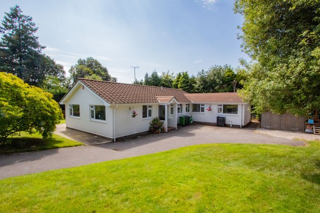 3 bed bungalow