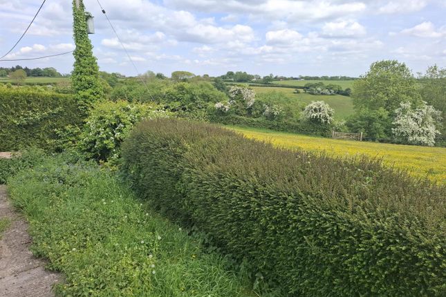 Thickwood Lane, Colerne, Chippenham 3 bed detached bungalow for sale
