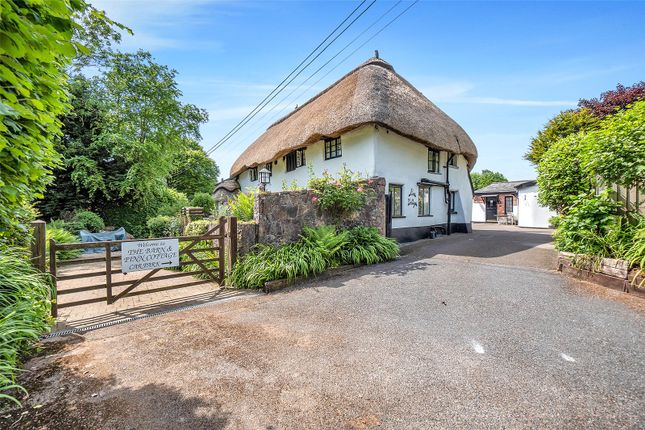 Bowd, Sidmouth, Devon, EX10 10 bed detached house for sale