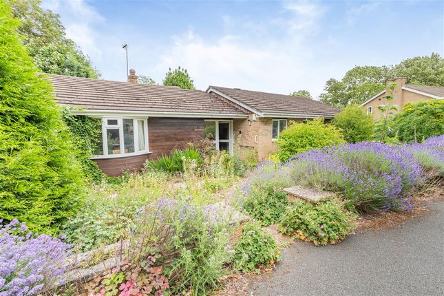 1 bed detached bungalow
