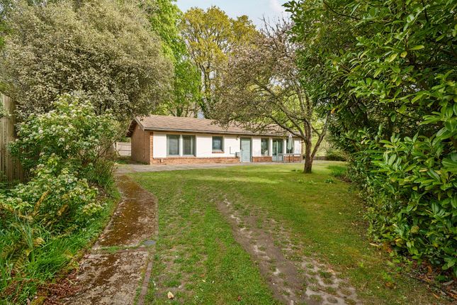 Nonnington Lane, Graffham, GU28 3 bed detached bungalow for sale