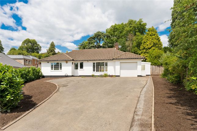 Twinoaks, Cobham, Surrey, KT11 3 bed bungalow for sale