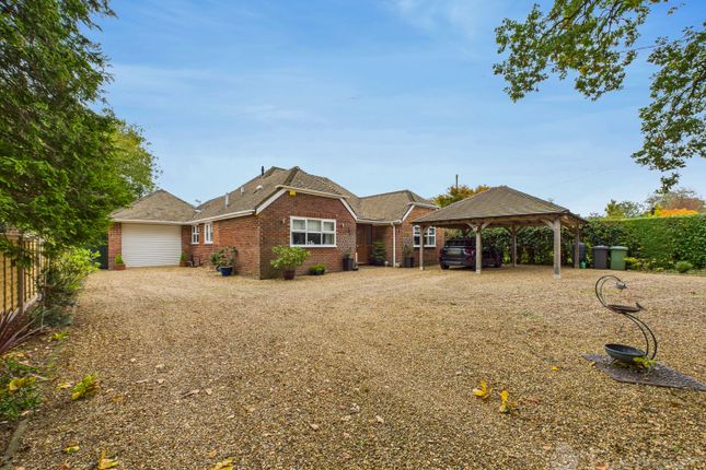 Winchester Road, Four Marks, Alton... 4 bed detached bungalow for sale