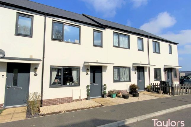 Foxglove Way, Paignton 2 bed terraced house for sale