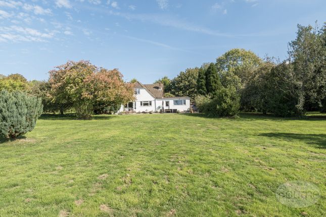 Headmoor Lane, Four Marks, Hampshire... 4 bed detached house for sale